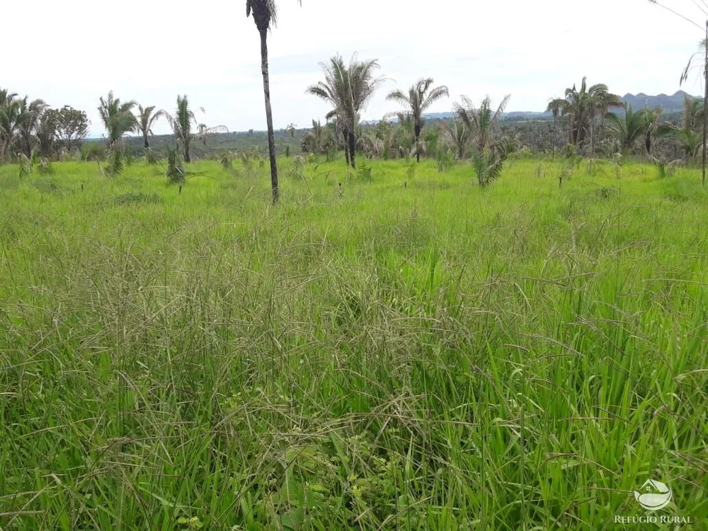 Fazenda, 5624 hectares - Foto 6