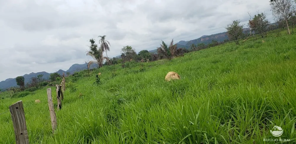 Fazenda, 5624 hectares - Foto 3