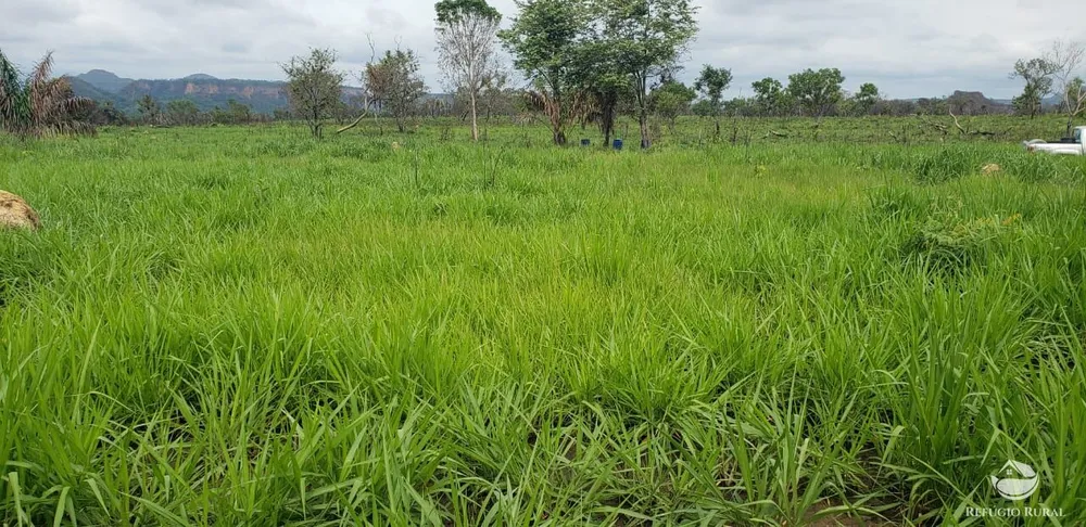 Fazenda, 5624 hectares - Foto 2