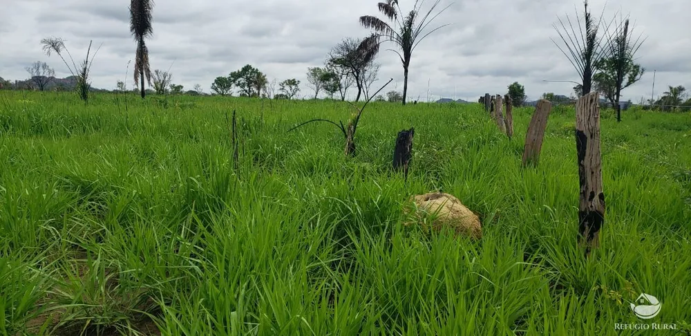 Fazenda, 5624 hectares - Foto 4