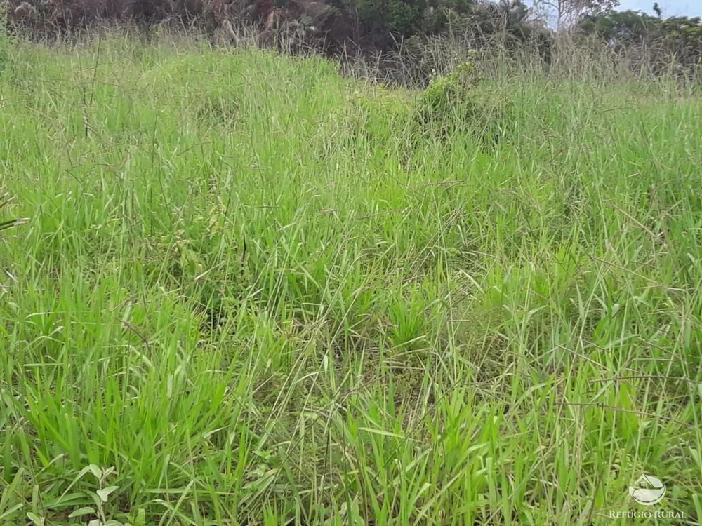 Fazenda, 5624 hectares - Foto 11