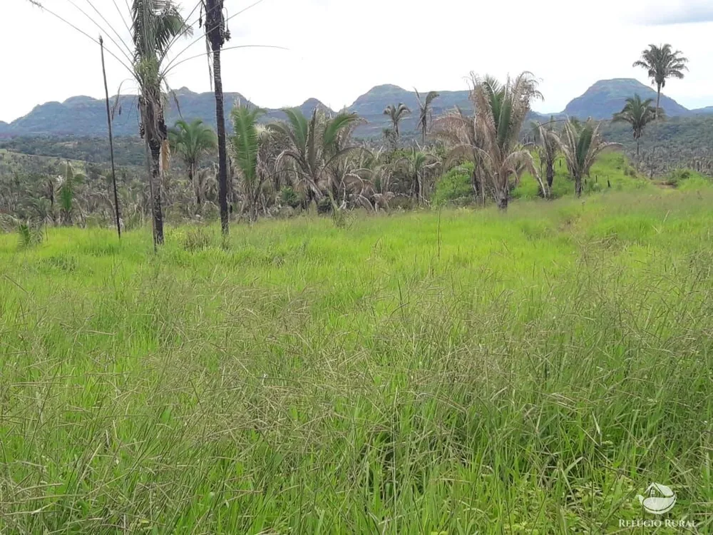 Fazenda, 5624 hectares - Foto 3