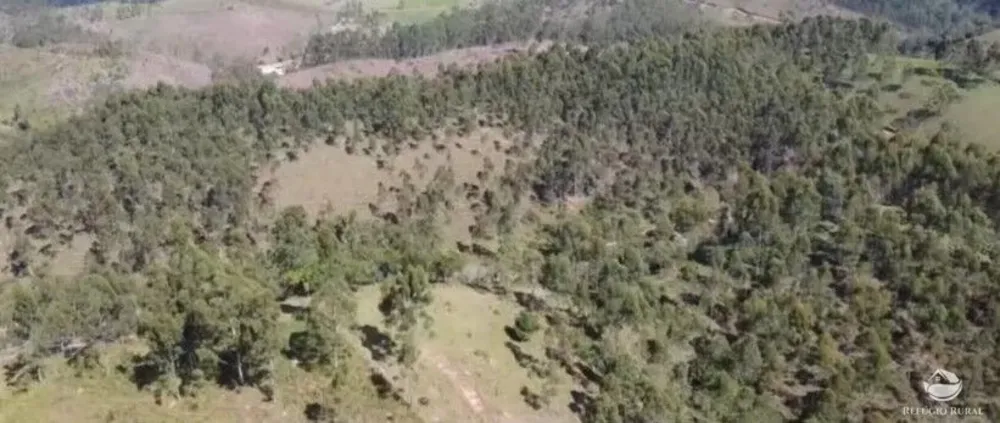Fazenda, 171 hectares - Foto 17