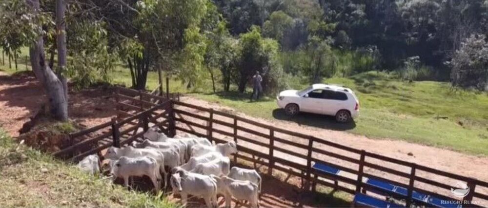 Fazenda à venda com 9 quartos, 2081200m² - Foto 10