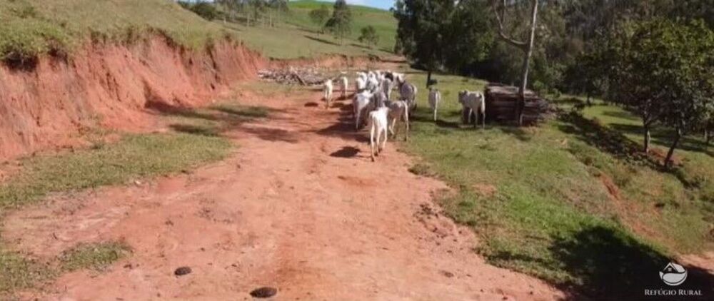 Fazenda à venda com 9 quartos, 2081200m² - Foto 9