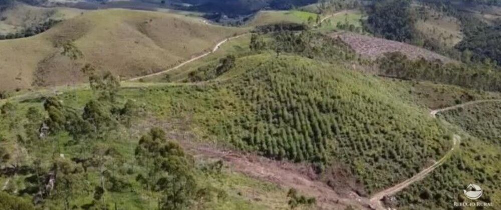 Fazenda à venda com 9 quartos, 2081200m² - Foto 4