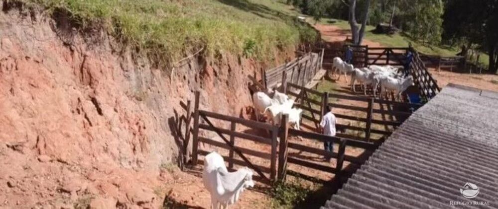Fazenda à venda com 9 quartos, 2081200m² - Foto 13