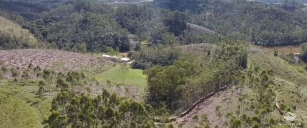 Fazenda à venda com 9 quartos, 2081200m² - Foto 11