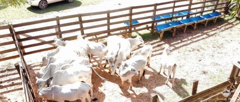 Fazenda à venda com 9 quartos, 2081200m² - Foto 8