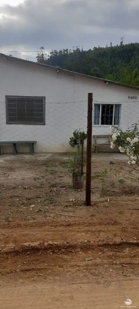 Sítio, 9 hectares - Foto 1