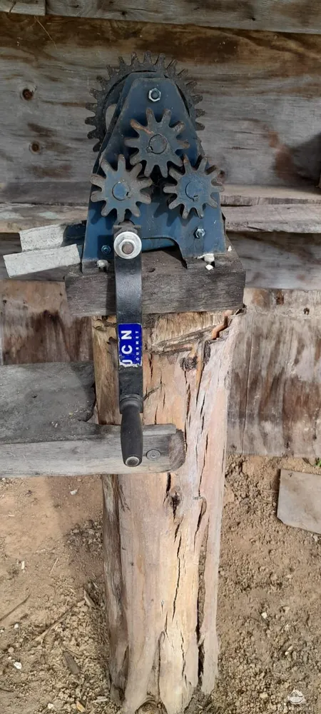 Sítio, 9 hectares - Foto 5