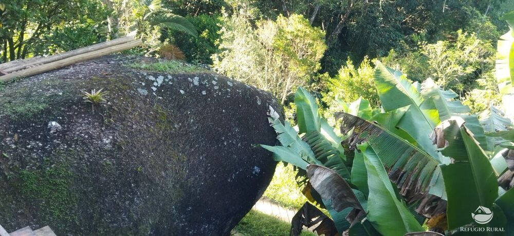 Sítio, 5 quartos, 12 hectares - Foto 29