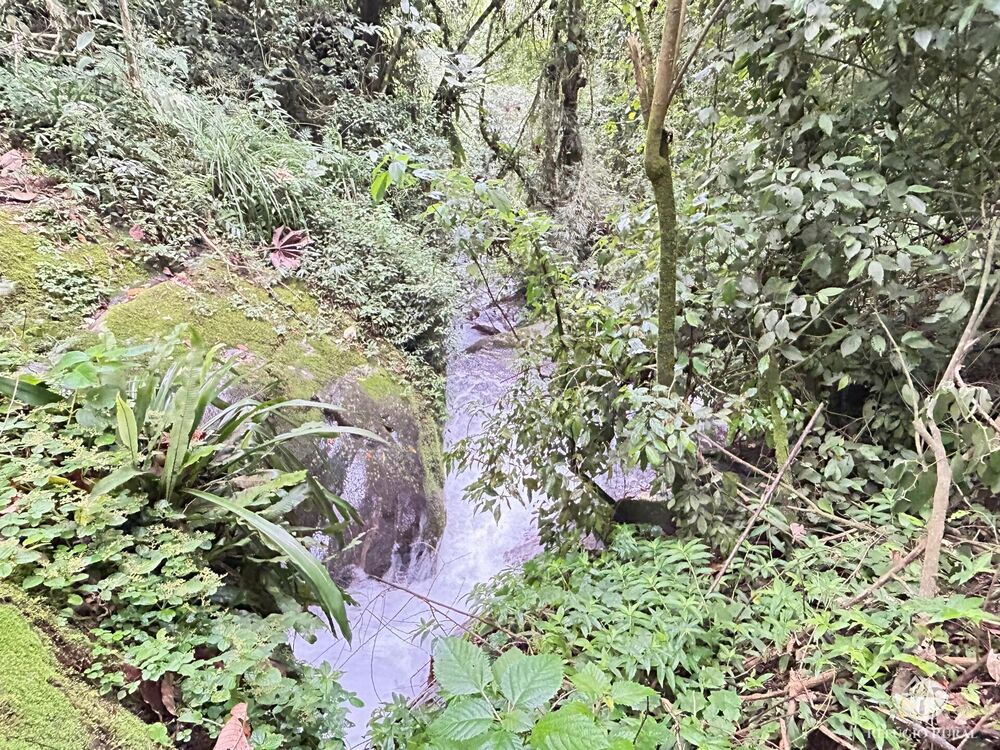 Sítio, 5 quartos, 12 hectares - Foto 17