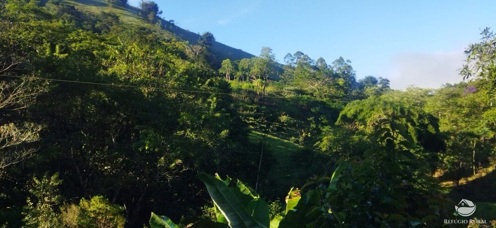 Sítio, 5 quartos, 12 hectares - Foto 26