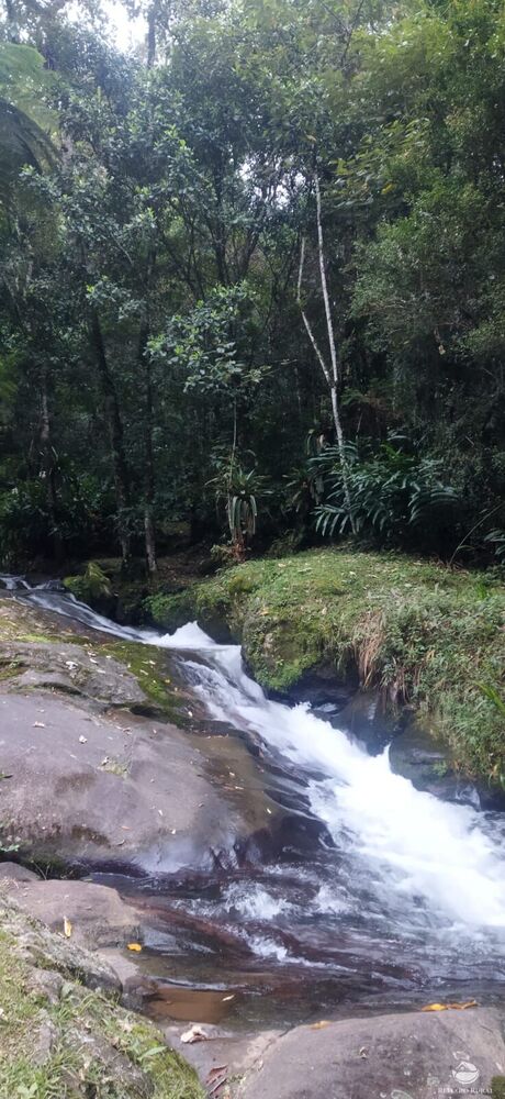 Sítio, 5 quartos, 12 hectares - Foto 31