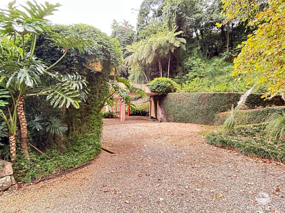 Sítio, 5 quartos, 12 hectares - Foto 14