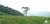 Terreno, 2 hectares - Foto 4