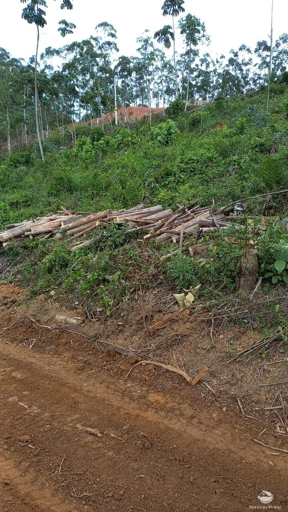 Terreno, 2 hectares - Foto 5