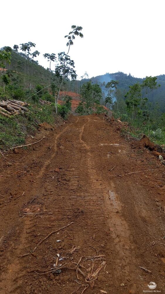 Terreno, 2 hectares - Foto 4