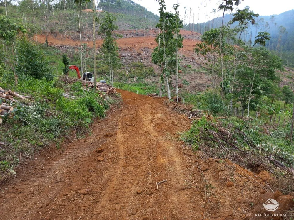 Terreno, 2 hectares - Foto 9