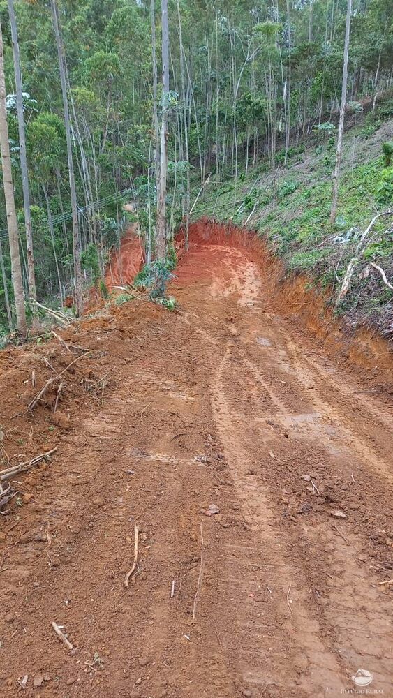 Terreno, 2 hectares - Foto 2