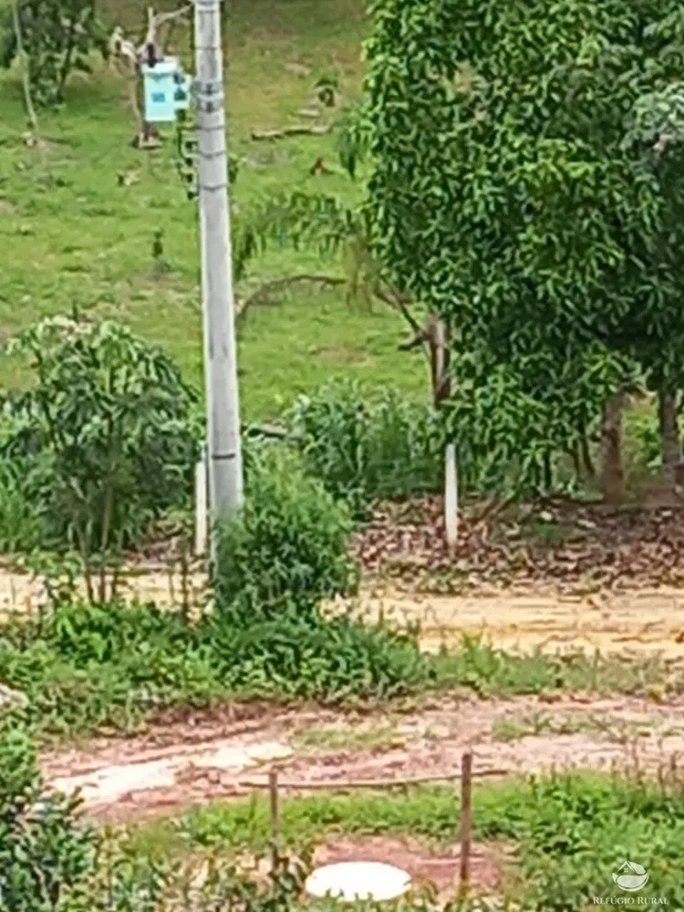 Terreno, 2 hectares - Foto 8