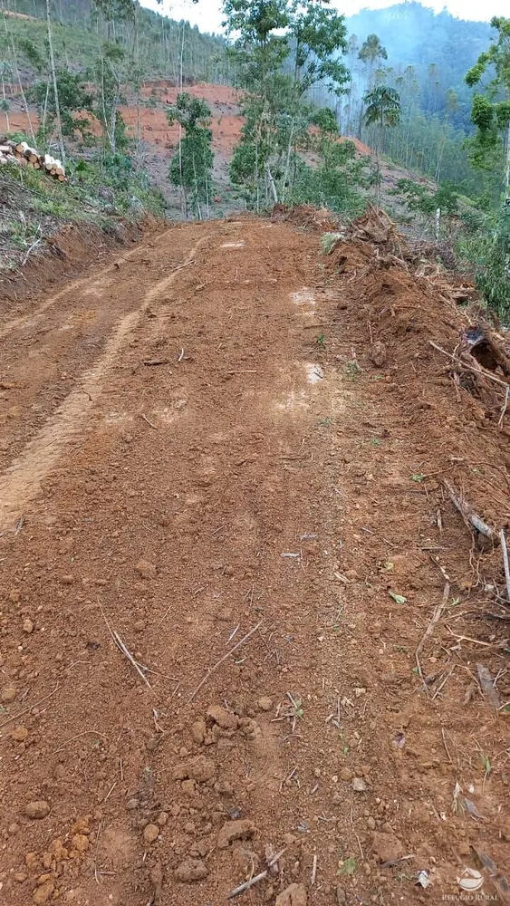 Terreno, 2 hectares - Foto 3