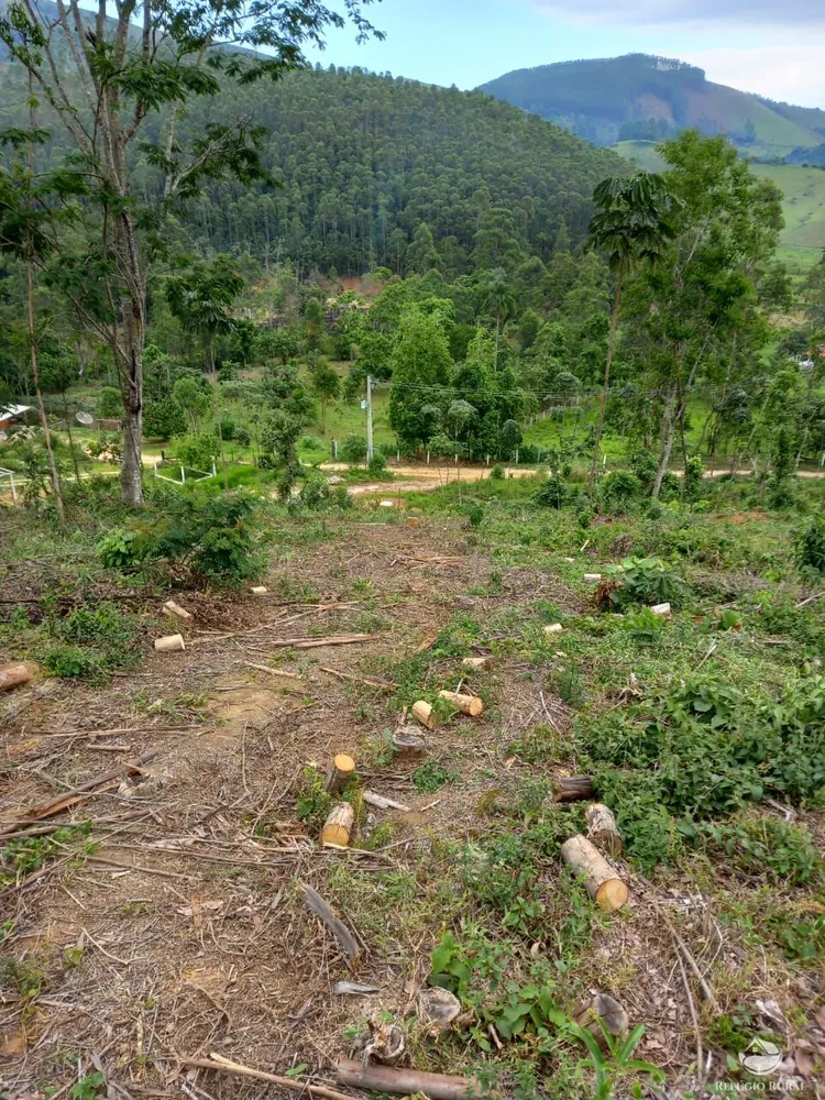 Terreno, 2 hectares - Foto 6