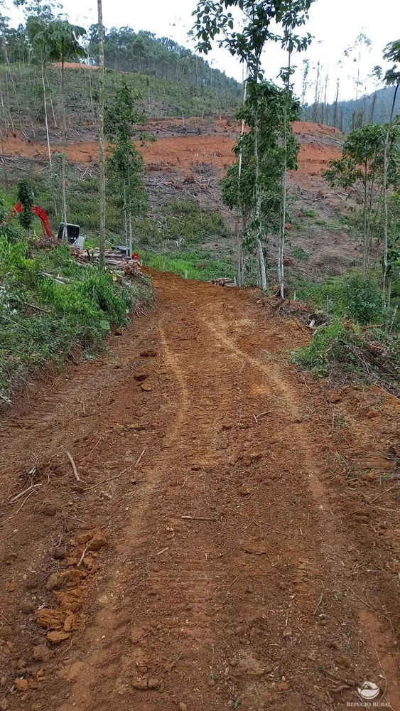 Terreno, 2 hectares - Foto 12