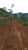 Terreno, 2 hectares - Foto 4