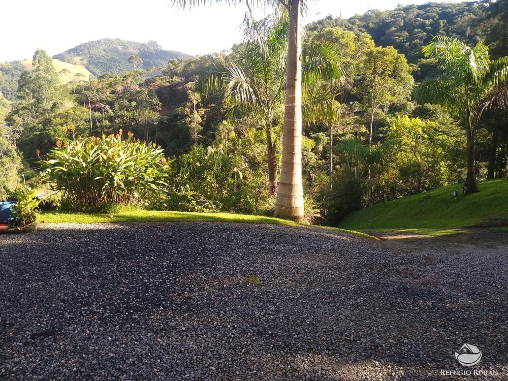 Sítio à venda com 4 quartos, 28000m² - Foto 19