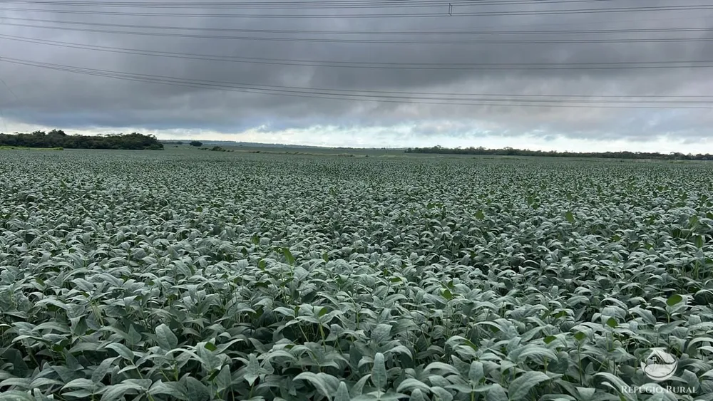 Fazenda, 6355 hectares - Foto 4