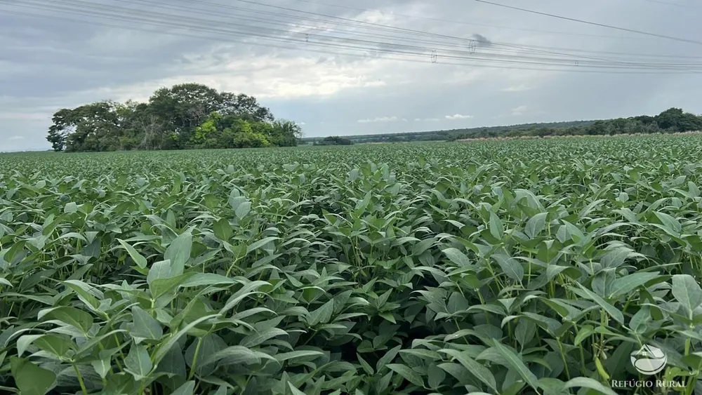 Fazenda, 6355 hectares - Foto 3