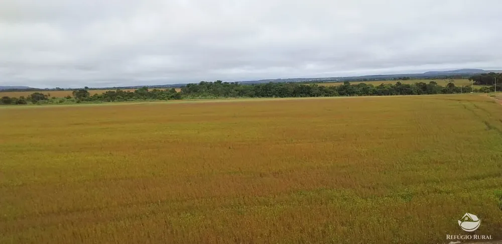 Fazenda, 1090 hectares - Foto 3