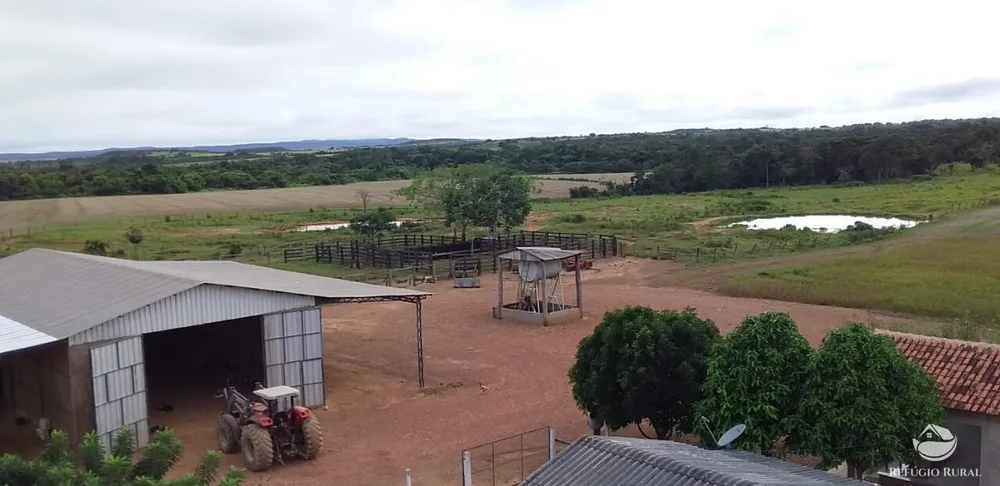 Fazenda, 1090 hectares - Foto 3
