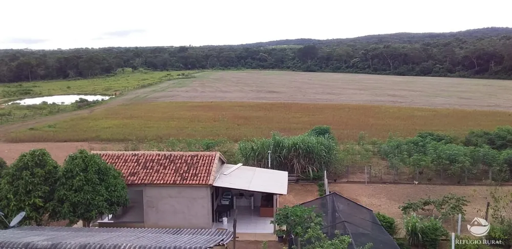 Fazenda, 1090 hectares - Foto 11