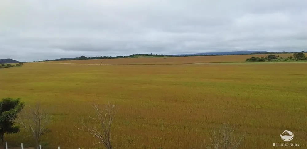 Fazenda, 1090 hectares - Foto 4