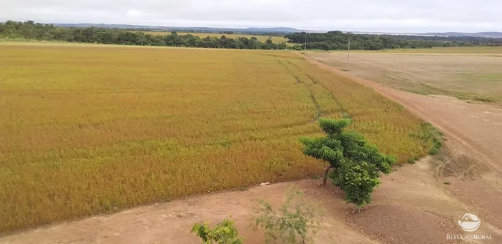Fazenda, 1090 hectares - Foto 4