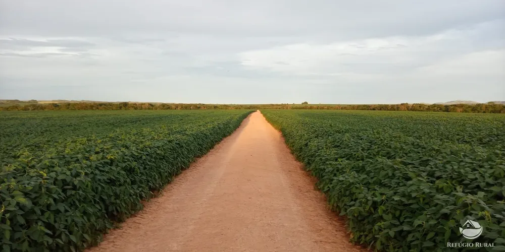 Fazenda, 1090 hectares - Foto 2