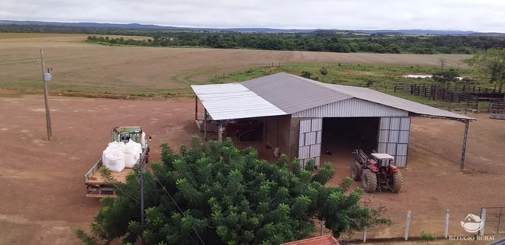 Fazenda, 1090 hectares - Foto 6