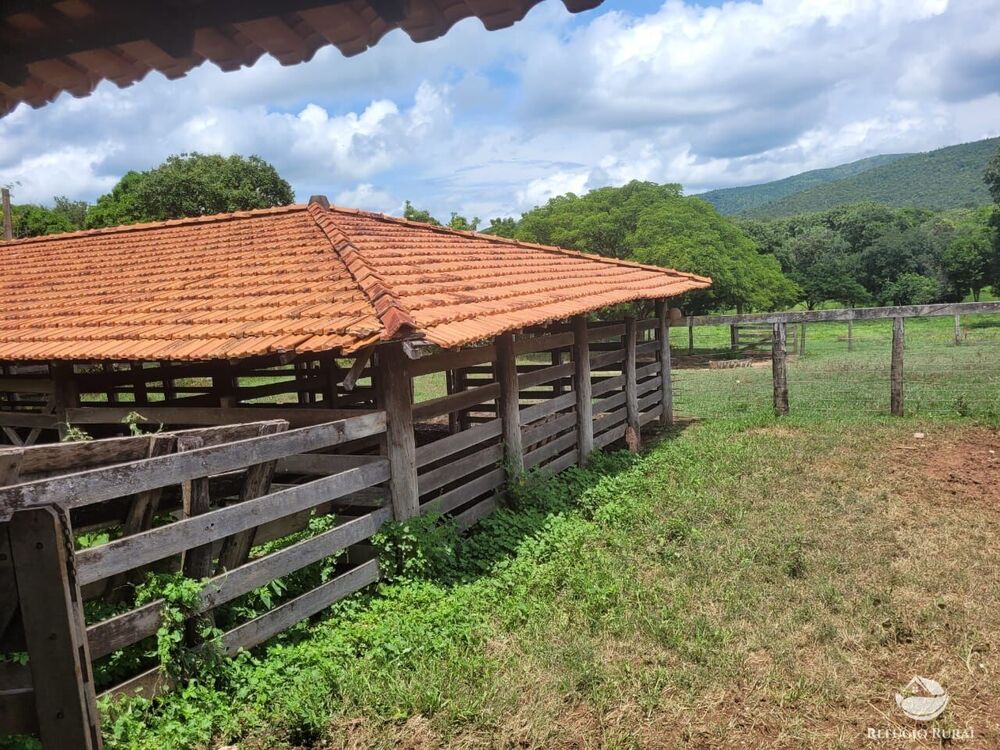 Fazenda à venda com 2 quartos, 15400000m² - Foto 5