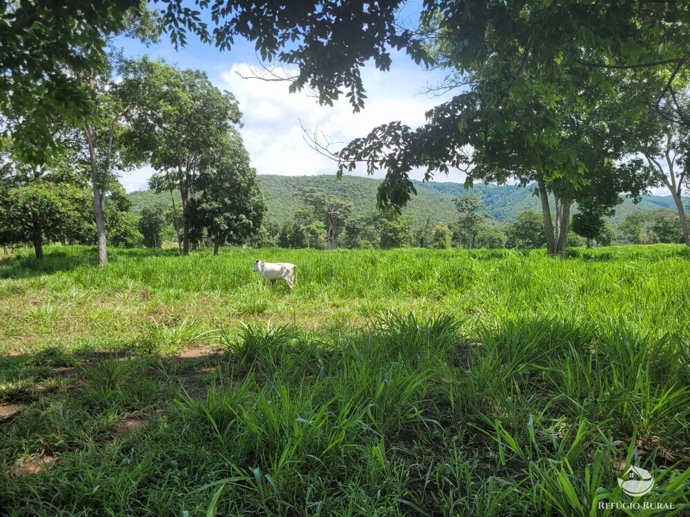 Fazenda à venda com 2 quartos, 15400000m² - Foto 4