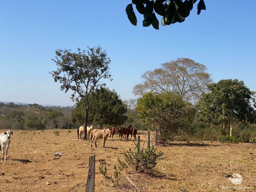 Fazenda à venda com 2 quartos, 15400000m² - Foto 2