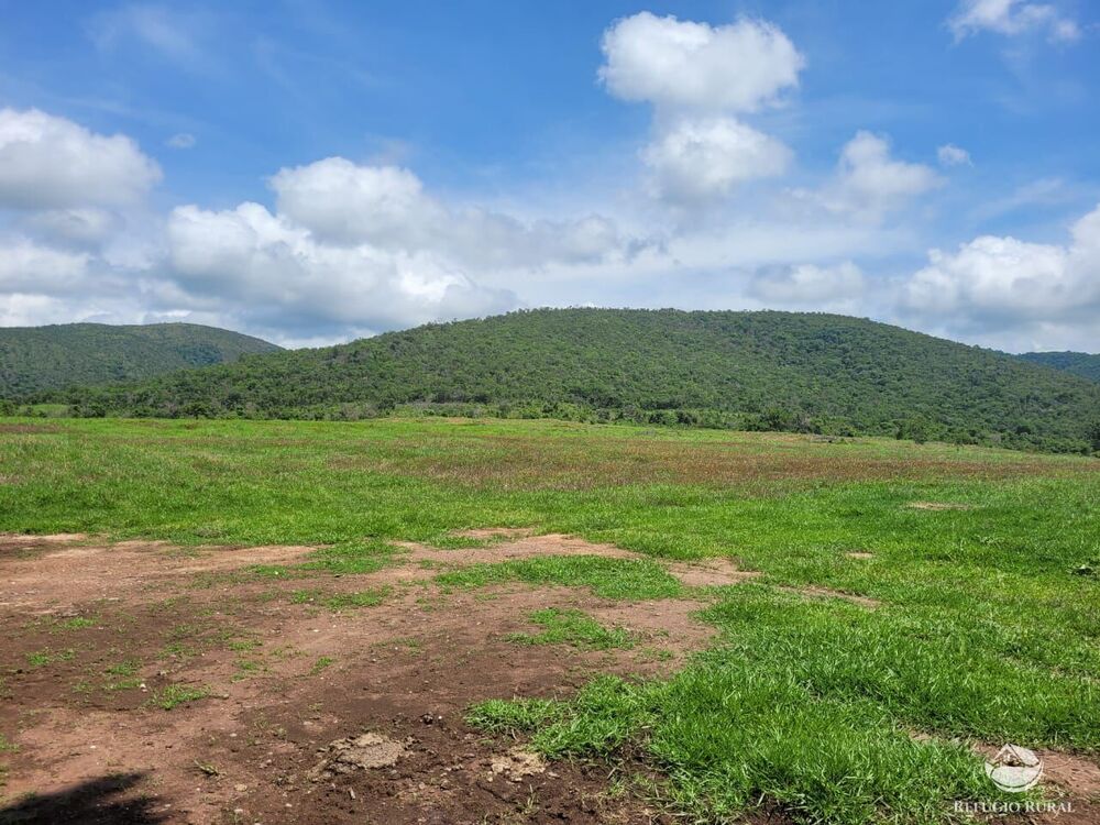 Fazenda à venda com 2 quartos, 15400000m² - Foto 6