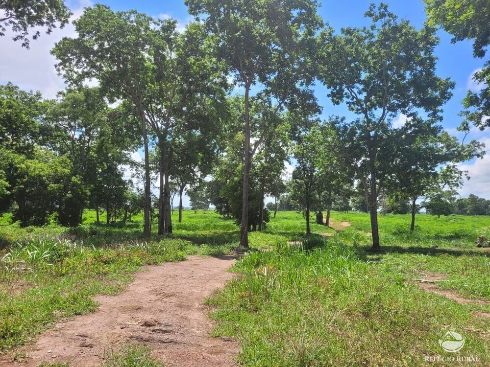 Fazenda à venda com 2 quartos, 15400000m² - Foto 1