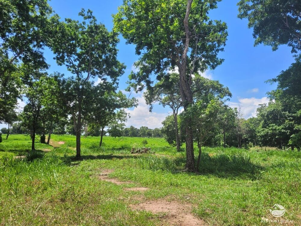 Fazenda à venda com 2 quartos, 15400000m² - Foto 7