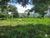 Fazenda, 1540 hectares - Foto 4