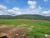 Fazenda, 1540 hectares - Foto 6