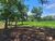 Fazenda, 1540 hectares - Foto 8