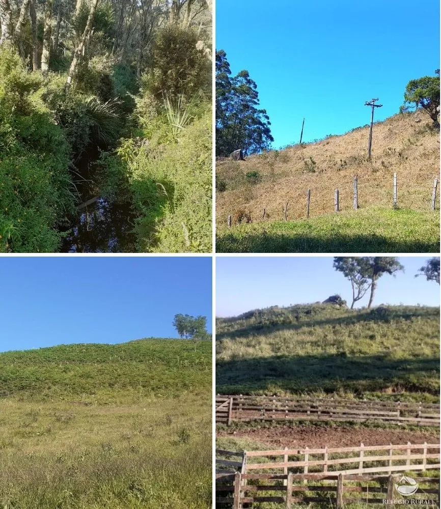 Sítio, 60 hectares - Foto 3